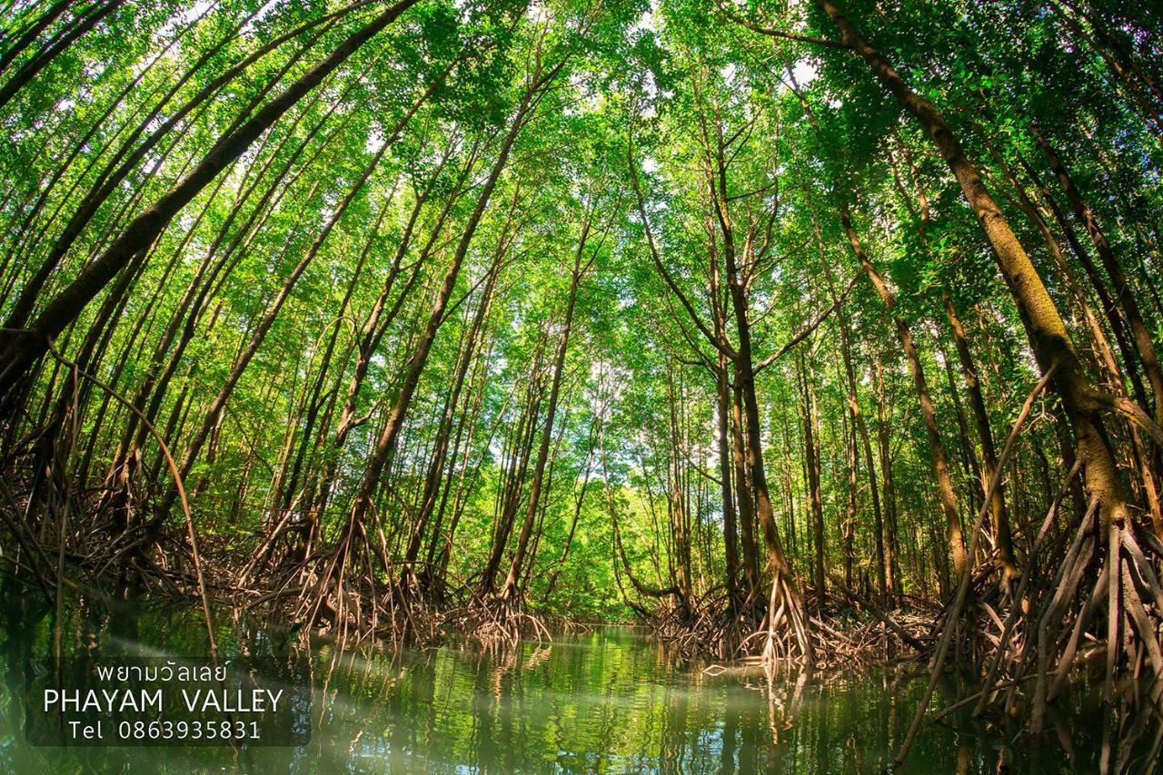 Phayam Valley Homestay Koh Phayam Eksteriør bilde