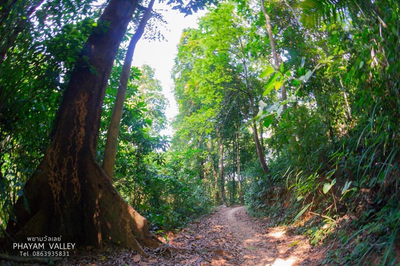 Phayam Valley Homestay Koh Phayam Eksteriør bilde